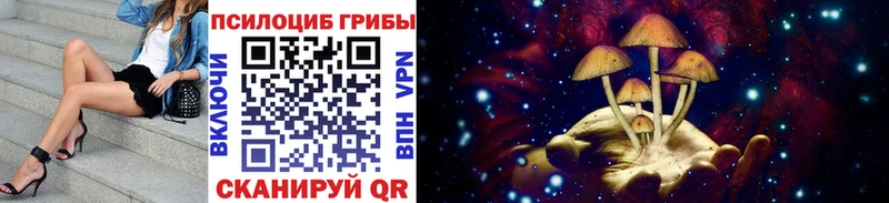 цена   Котельники  Псилоцибиновые грибы MAGIC MUSHROOMS 